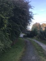 Lindas cabañas año corrido en Puerto Montt - Imagen 5