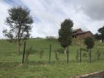 Casa en consolidad parcelación de Puerto Varas - Imagen 54