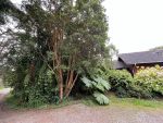 Linda casa en Parque Ivian 1 - Imagen 7
